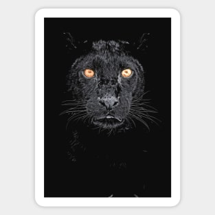 Black panther with yellow eyes Sticker